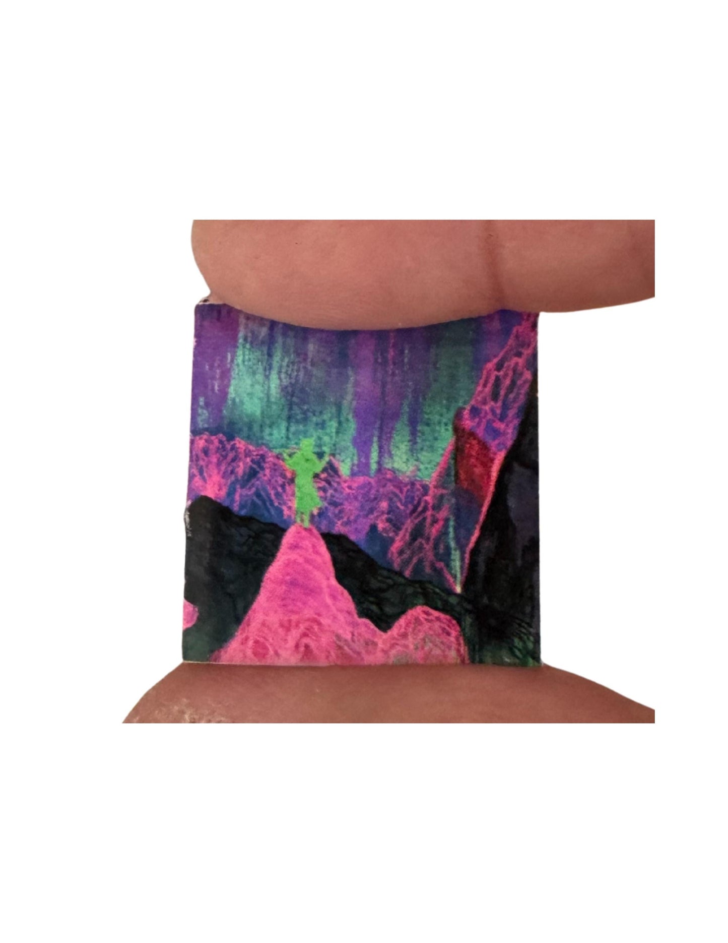 Dinosaur Jr. Miniature Vinyl Albums – 1:12 Scale Dollhouse Music Decor