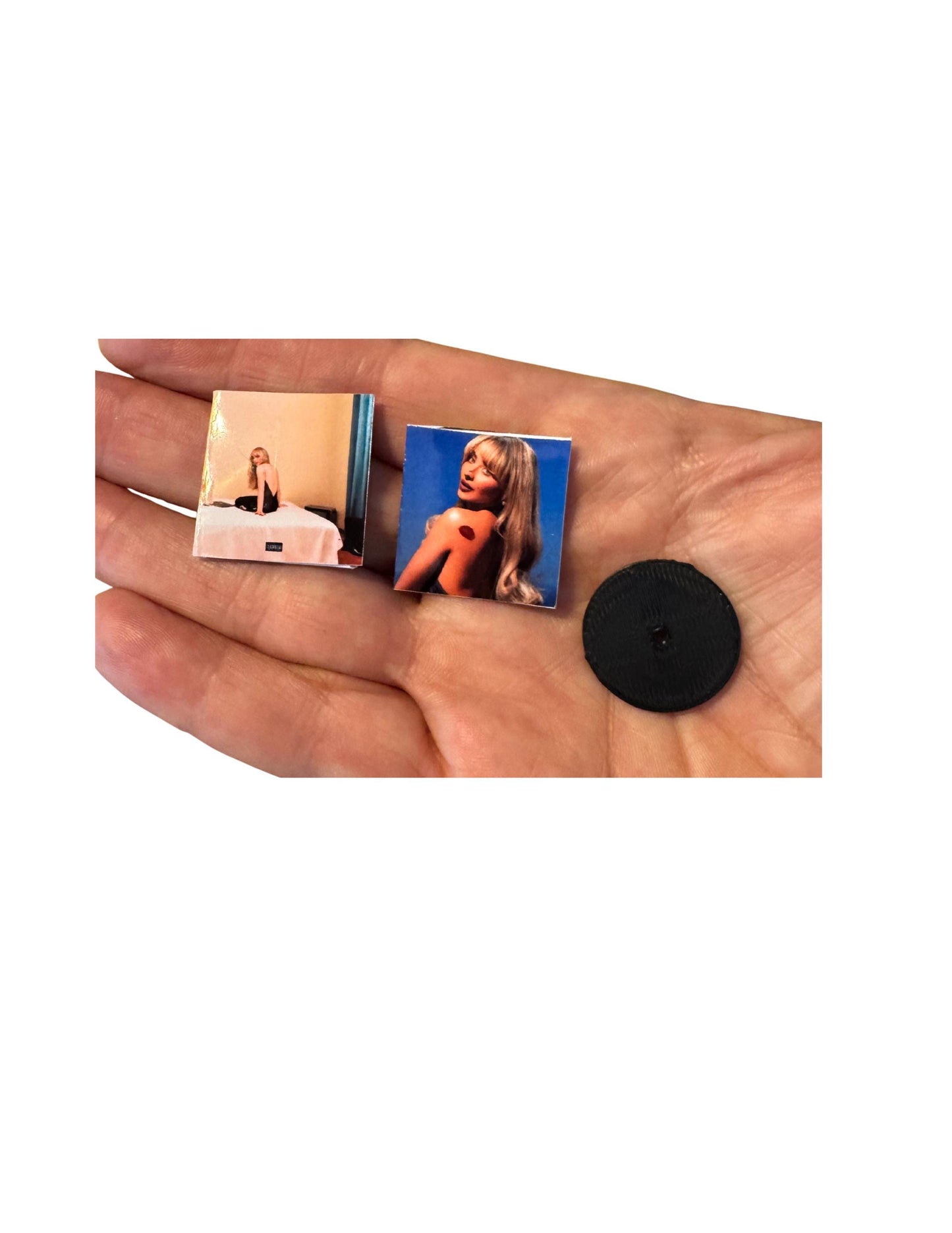 Mini Sabrina Carpenter Vinyl Albums with Mini Records Fan Gift Dollhouse Miniature