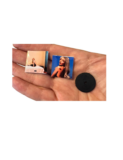 Mini Sabrina Carpenter Vinyl Albums with Mini Records Fan Gift Dollhouse Miniature