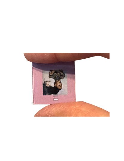 Miniature Ariana Grande Vinyl Records – 1:12 Dollhouse Music Collection