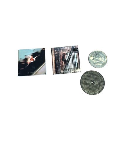 Mini Sabrina Carpenter Vinyl Albums with Mini Records Fan Gift Dollhouse Miniature