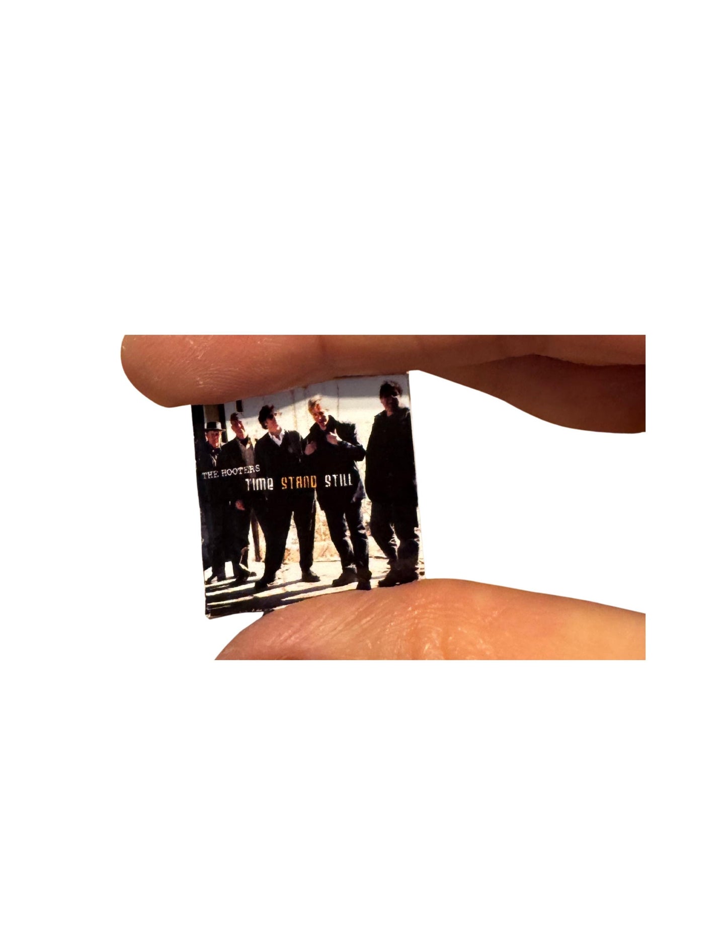 Miniature Hooters Vinyl Album Covers 1:12 Scale Collectible