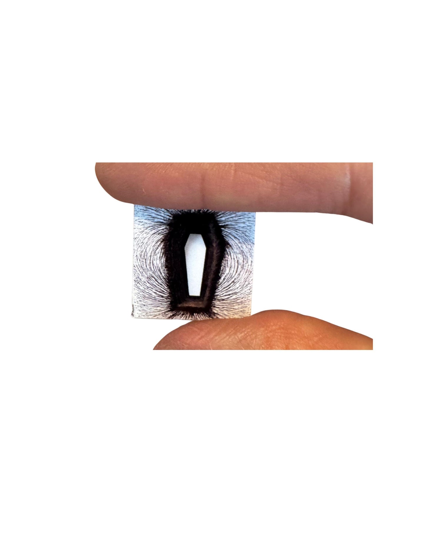 Miniature Metallica Album Cover 1:12 Scale - Heavy Metal Decorative Collectible