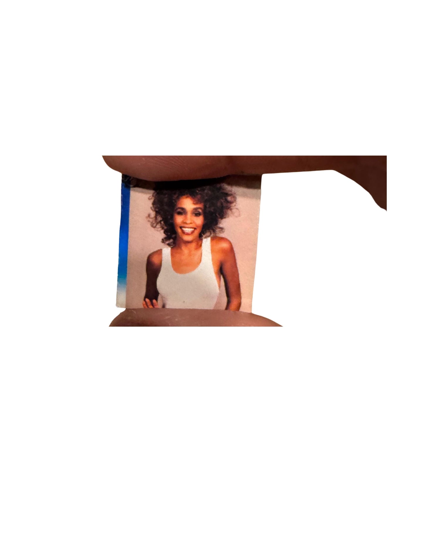 Miniature Whitney Houston Vinyl 1:12 Scale Dollhouse Mini Music Decor